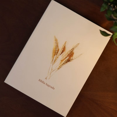 image_3e4a4353-da07-4b06-9ac9-64ae692b2f01