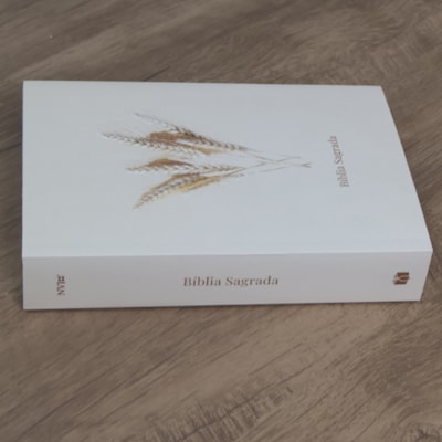 image_d4452383-923c-445f-8757-e0e5d9d9808c