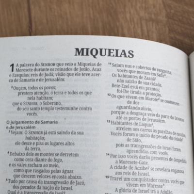 image_02d24f7f-0579-4dd6-ad95-971044a87cd0