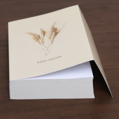 image_856baa41-e0be-4857-bb0e-7c65de0fbb56