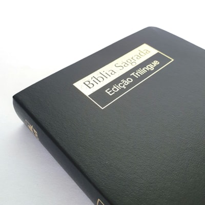 image_dc06d2fd-bf40-4b21-9746-6d6ca4db1914