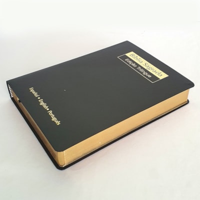 image_0b8dc300-d3ee-4050-93d0-479673513302