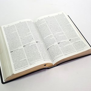 Bíblia Sagrada Trilíngue | NVI Extra Gigante | Letra Normal | Capa Luxo Preta