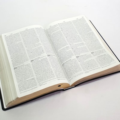 image_e058847b-4fcc-4a14-9225-ffaa2eb40207