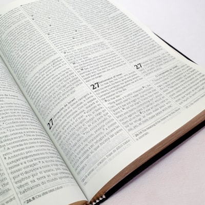 image_fbfc0993-ce12-408e-9b80-a7ad49600fd9