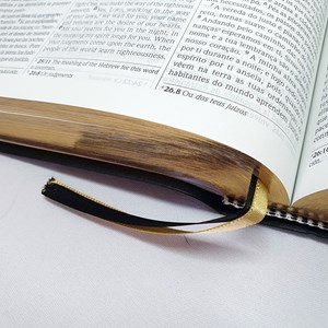 Bíblia Sagrada Trilíngue | NVI Extra Gigante | Letra Normal | Capa Luxo Preta