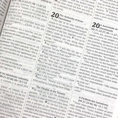 image_c120b046-97cd-4ca1-ae63-3eb013175215