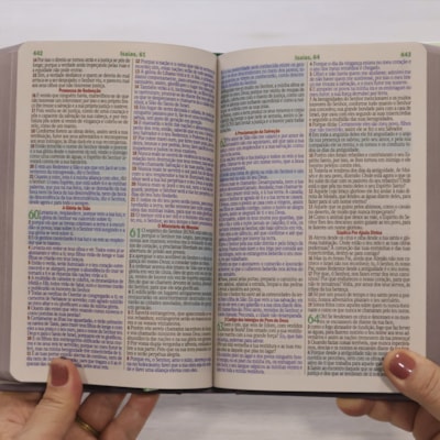 image_6c29fbbd-f5a7-4185-9857-45f1481d3e68