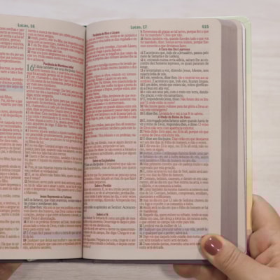 image_31fcc40f-3135-40bf-961e-68d34ccaca41