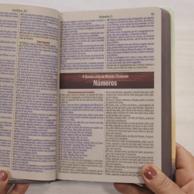 image_d0cf3012-25de-481b-98c8-239e057888f0