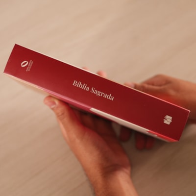 image_4c765166-f817-40e6-b2cd-4fefffdc3851