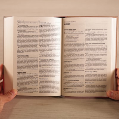 image_0418f933-e1f4-4202-9381-b7489d1aa3d3