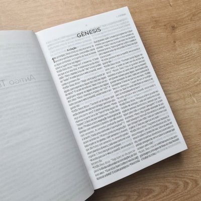 image_f191040c-c65b-4996-8e68-2baa37a7a3f4