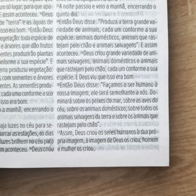 image_ae66a908-79b8-4477-9336-2693b634fd8a