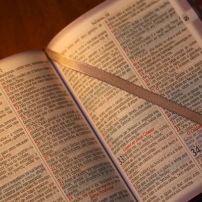 image_ff0a82e9-bff2-4328-8450-350bcec6c32a