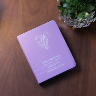 image_cf29a2d8-1b97-477b-a0a9-e04522c4066c