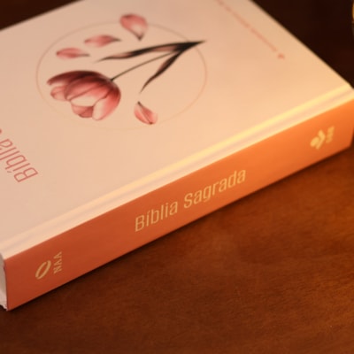 image_4f0c7679-204a-42a6-9759-7b54a89f892b