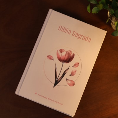 image_1944a5ff-47fa-4e82-88a4-2fade9370413