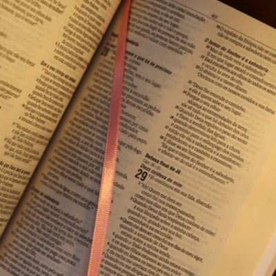 image_5113bfa1-a223-41f9-b54e-5b85ebdaeb64