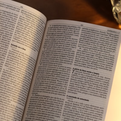 image_7cfef2c5-3570-4cda-a193-9d2d268a6ed6