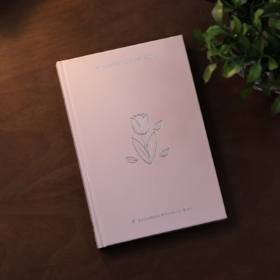 image_174e8181-e796-4746-bfd5-a6861c79c367