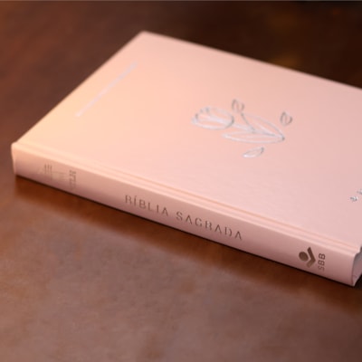 image_14059cfb-7070-4276-b59f-b388376ad46a