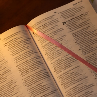 image_949ff13e-b250-4e92-b30b-d39ec7587fa9