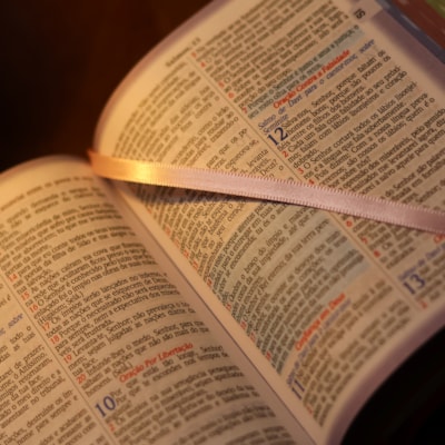 image_fd01af85-a6bb-47b3-b8cc-4d91e91b47cf