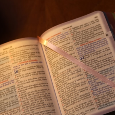 image_2ac75569-cf64-4103-87bb-459e3bda62b1