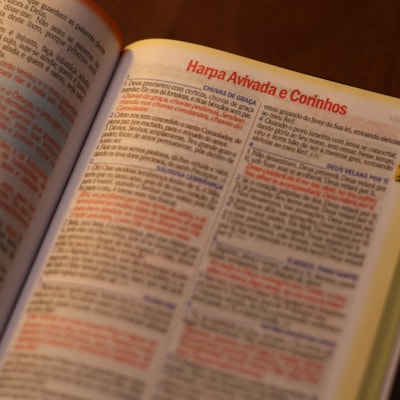 image_4b7b2536-78e1-4f47-a5d0-ce215dbf70d8