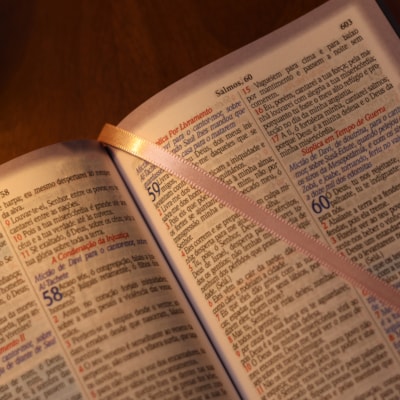 image_02bfdec8-3eb8-4c41-9714-50b2e19938e0