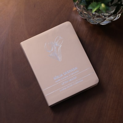 image_ec661205-52df-4e03-a2c7-a41ce1e5596f