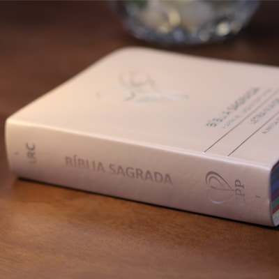 image_de21543f-d0d6-4bd9-8e94-30fc4b31c75f