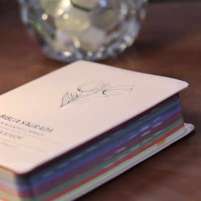 image_52d4e20e-da08-4b83-ac59-5260b068f85f