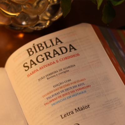 image_41ee86da-d3e7-4d88-af21-dc95bfd29c3c