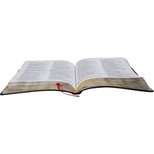 Bíblia Sagrada Ultrafina | NAA | Letra Normal | Capa Preto Frank C/ Índice e Zíper
