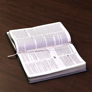 Bíblia Sagrada Vão Pelo Mundo | NTLH | Letra Normal | Capa Dura Ilustrada