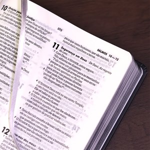 Bíblia Sagrada Vão Pelo Mundo | NTLH | Letra Normal | Capa Dura Ilustrada
