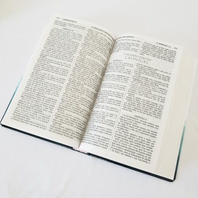 image_3d57b625-50f9-42d9-a044-e31a0d08b516