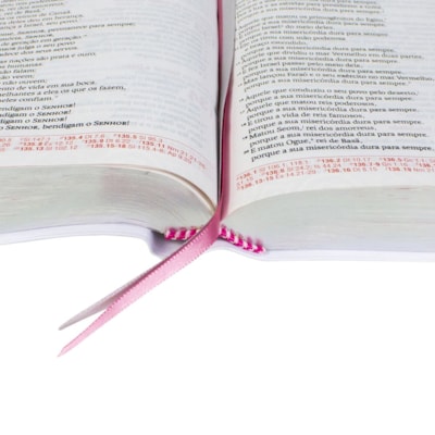 image_58d3caf6-70ba-411b-bbfe-4f8f3aaa809b