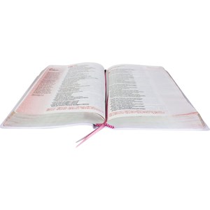 Bíblia Sagrada Verdadeira Identidade | Letra Normal | NAA | Capa Alegre-se Sempre no Senhor