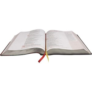 Bíblia Sagrada Verdadeira Identidade | Letra Normal | NAA | Capa Lettering