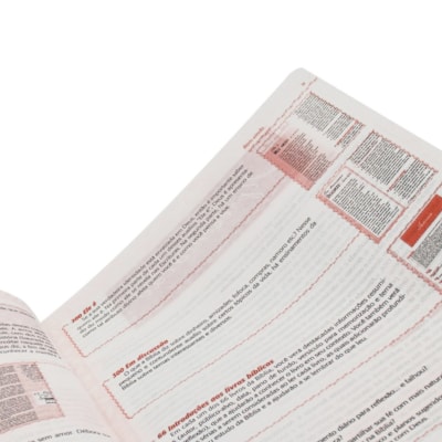 image_aa70882f-ccce-4dd0-9460-56f650c05f1a