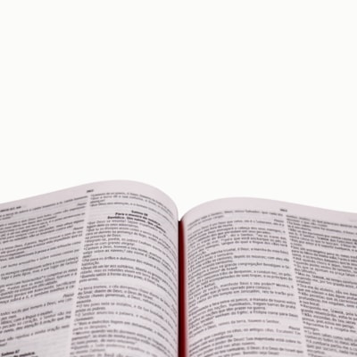 image_46e7cde0-532b-44f8-945b-a9b836c6171e