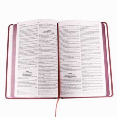 image_7ce20e49-5f47-43e0-abe6-6f20331bb2ee