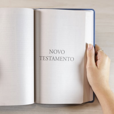 image_e34f019a-7fe2-4798-a1e9-680667587a46