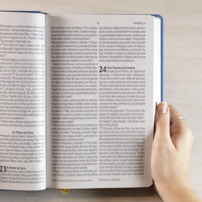 image_ec372945-3572-4ee7-b604-10f6d6460ec7