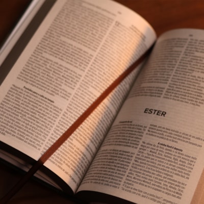 image_2af41f72-af24-4c5e-ab3e-337d9a6382e4