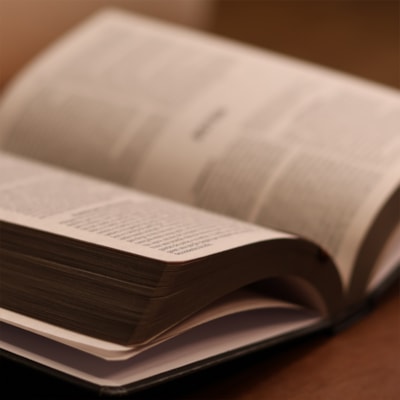 image_7aa3ad86-08e0-4b06-bab6-72d4c2581869