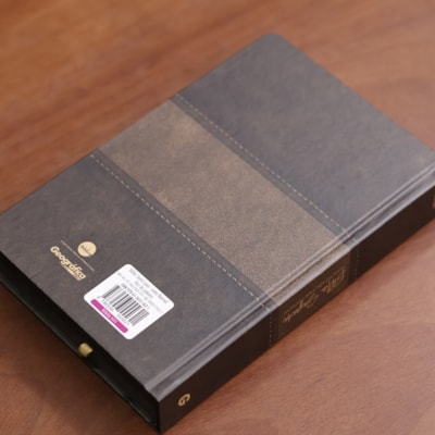 image_30f9f790-d37a-4a89-a069-9e65fff04c49